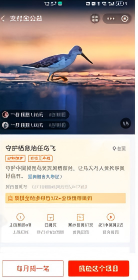 展商广告